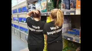 Work Experience 2016