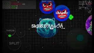 Blob.io I'm buy Bear skin!