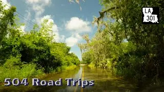 Road Trip #516 - LA-301 - Jean Lafitte Barataria Preserve