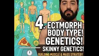 Ectomorph Body Type Explained | How to Build Muscle with &ldquo;Skinny Genetics&rdquo; Naturally 💪