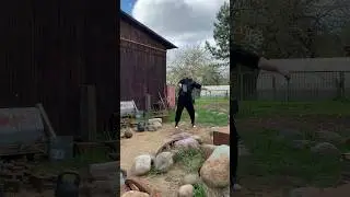 ЧУДОВИЩНОЙ ГИРИ-КИРПИЧА ПОПЫТКА ВЫРЫВАНИЯ! ПРАВОЙ РУКОЙ!! СИЛОВОЕ ГИРЕВОЕ ДЕВЯТИБОРЬЕ.