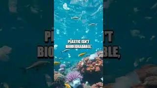 The Gigantic Amount of Plastic Waste Produced Annually