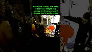 👀👊 Caught on Camera: Man vs. Thief vs. Dog. 2023