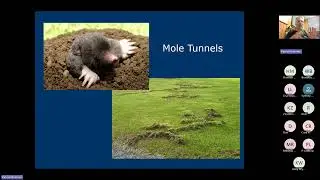 Environmental Lecture Series Shrews of the southern Appalachians Natural History and Conservation