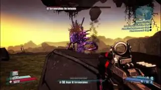 Borderlands 2 Terramorphus Zer0 solo {RaidBoss)