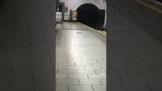 rats going wild in London #wow #lol #rats #london