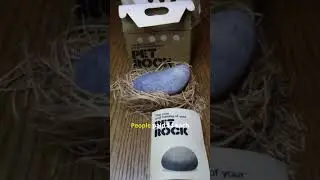 He Made $15 Million&hellip; Selling Pet Rocks! 🪨💰
