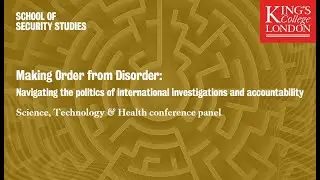 Making order from disorder: Navigating the politics of international investigations