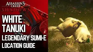 Legendary White Tanuki Location in Assassin's Creed Shadows | Legendary Sumi-E