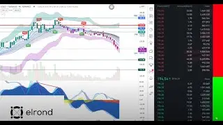 Elrond EGLD Live Buy/Sell Indicator on Tradingview Live 20-21.09.2021