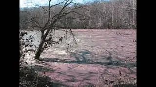 Little Miami River flooding event.  2/18/22