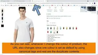 What are canonical tags with example? Also read article given in description for deep explanation.