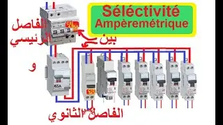 sélectivité électrique الإنتقائية الكهربائية