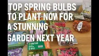 Spring Bulb Haul 2025: What I'm Planting & Why