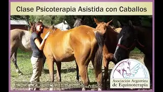 Clase Psicoterapia Asistida con caballos   AADE