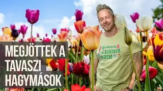 Tavaszi hagym&aacute;sok - b&aacute;rhov&aacute; a kerbe | kert TV