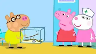 Um Dia nos Veterinários! | Peppa Pig Português Brasil Episódios Completos