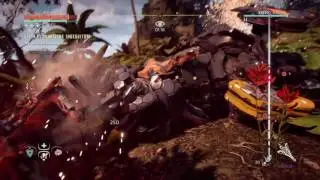 Horizon Zero Dawn Sfida Eliminazione Inseguitori: Marchio Sole ardente