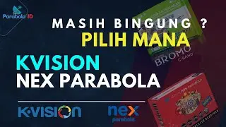 PILIH MANA K VISION VS NEX PARABOLA | Rekomendasi Pay TV 2024
