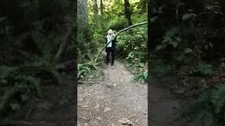 Witch&rsquo;s Castle in Portland, Oregon