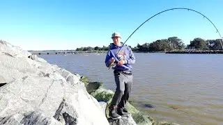 You'd Be Surprised What's Swimming in the Rocks! - Light Tackle Multispecies Poke Poling on Jetty