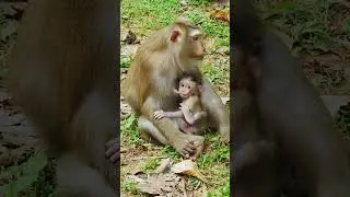 Adorable baby breastfed by mom #11