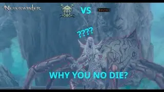 Can you survive Master Demonweb Pits? - Paladin POV