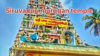 Siruvapuri murugan temple near plots sale in Panchetti near Velammal international school.