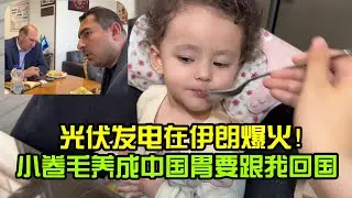 光伏發電專案在伊朗爆紅？小捲毛妥妥養成中國胃，小姑決定讓她跟我回國？