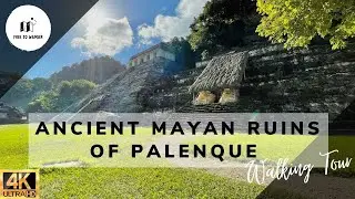 Palenque Ruins | Ancient Mayan Site | Chiapas | Mexico