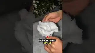 Making a Snow Rose 😍