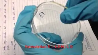 Peeling off hydrogel from petri-dish