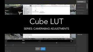 CameraBag Adjustments: Cube LUT (CameraBag Pro)