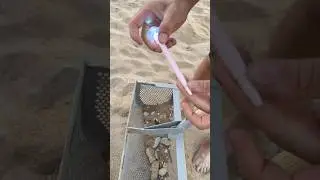 The Beach Was Hiding THESE Treasures! A Simple Cleanup Turned Into a Treasure Hunt #treasuresearch
