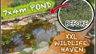 BIG REVEAL XXL Wildlife Waterscapes| Pt.3