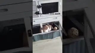 money talks