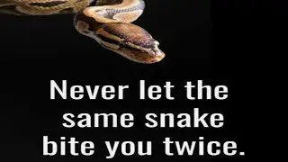 ⚠️Cat lady And her Loyal band of Ignorant Followers: Slithering 🐍🐍 Of Youtube !