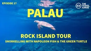 THE BEST TIME TO SNORKEL WITH NAPOLEON FISH & THE GREEN TURTLE IN PALAU | PALAU NATURAL ARCH
