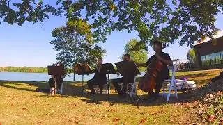 White Blank Page by Mumford and Sons arr. Luke Campayno - Radiant Strings Quartet