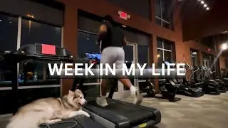 Week in the Life | Training for the Houston Marathon | ep10