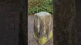 Tingley Hall #trigbagging