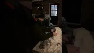 Heavy snow @heerde // this was fun