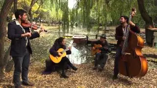 Nomade - La Negra Ester