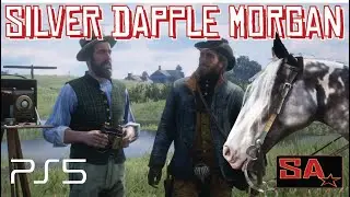 You Can Still Get Albert Mason&rsquo;s Silver Dapple Pinto Missouri Foxtrotter, in Red Dead Redemption 2