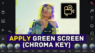 How to Apply Green Screen (Chroma Key) in Film Maker Pro 2025?