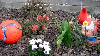 Movie, Cine4, HLG3 picture profile on Sony a6400