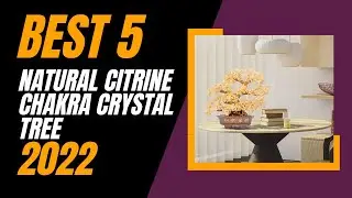 Best 5: Natural Citrine Chakra Crystal Tree 2022
