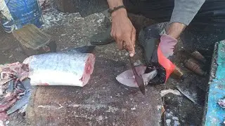 Satisfying King Fish Cutting #kingfish #surmae #fishcutting