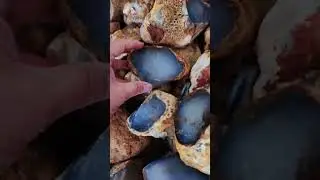 Blue chalcedony from Hactare mine located in West Turkey