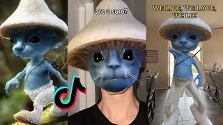 Smurf Cat Meme Reels & Tiktok Compilation #2
